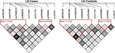 Weak Association Between the Glutamate Decarboxylase 1 Gene (GAD1) and Schizophrenia in Han Chinese Population